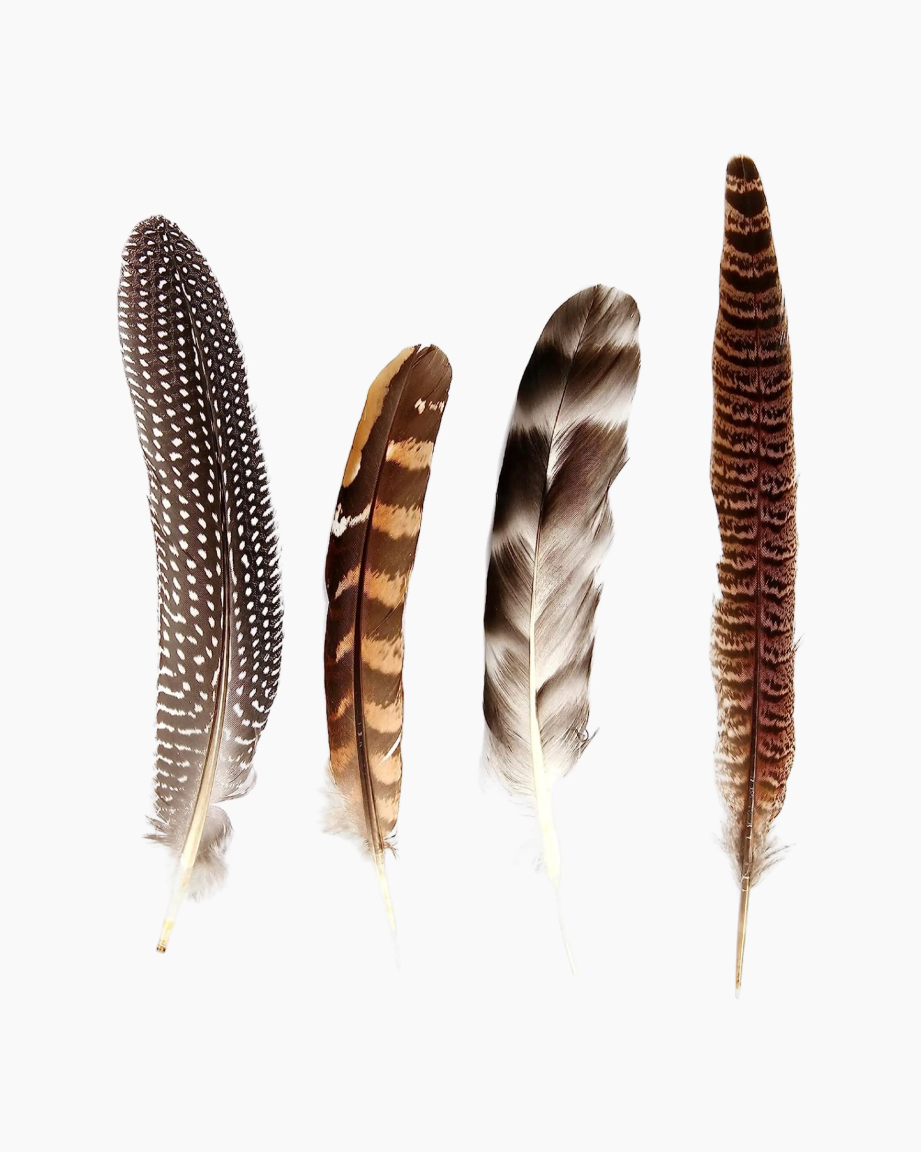 Large Feather Hat Accessory
